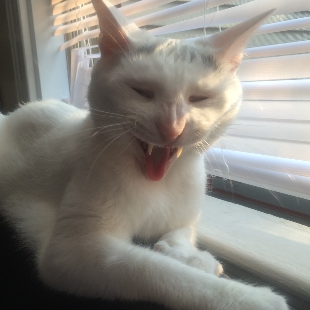 Meet your Posher, Kathryn